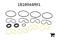 AGCO 1810944M91 Комплект уплотнений