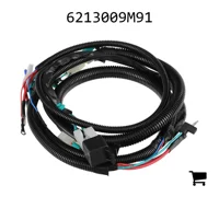 AGCO 6213009M91 Жгут