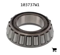 AGCO 103737W1 Конус