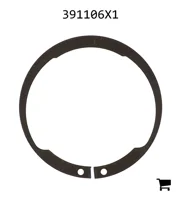 AGCO 391106X1 Стопорное кольцо