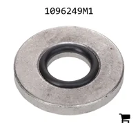 AGCO 1096249M1 Шайба