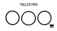 AGCO 70229709 Комплект уплотнений