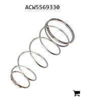 AGCO ACW5569330 Пружина