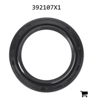 AGCO 392107X1 Радиальное уплотнительное кольцо передней оси