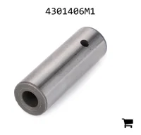 AGCO 4301406M1 Палец вилки