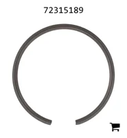 AGCO 72315189 Стопорная шайба