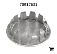 AGCO 70917631 Заглушка