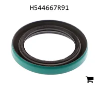 AGCO H544667R91 Масляный сальник