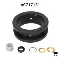 AGCO AG717131 Ремонтный комплект