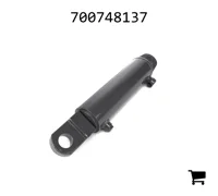 AGCO 700748137 Гидроцилиндр