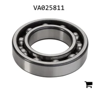 AGCO VA025811 Шариковый подшипник