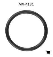 AGCO VKH4131 Уплотнительное кольцо