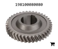 AGCO 198100080080 Цилиндрическая шестерня