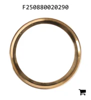 AGCO F250880020290 Упорное Кольцо