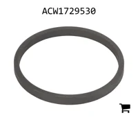 AGCO ACW1729530 Проставочная втулка