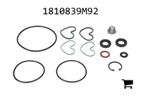 AGCO 1810839M92 Комплект уплотнений