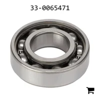 AGCO 33-0065471 Цилиндрический шариковый подшипник