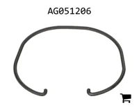 AGCO AG051206 Кольцо