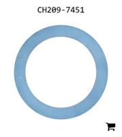 AGCO CH209-7451 Опорное кольцо