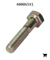 AGCO 400065X1 Болт с шестигранной головкой