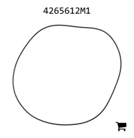 AGCO 4265612M1 Уплотнение