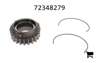 AGCO 72348279 Цилиндрическая шестерня