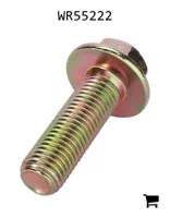 AGCO WR55222 Винт