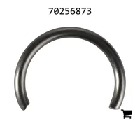 AGCO 70256873 Кольцо