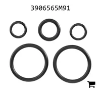 AGCO 3906565M91 Комплект уплотнений