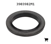 AGCO 3903982M1 Прокладка