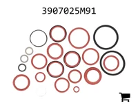 AGCO 3907025M91 Комплект сальников распределителя