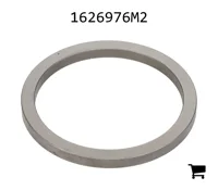 AGCO 1626976M2 Кольцо