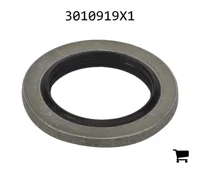AGCO 3010919X1 Сальник