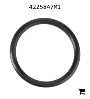 AGCO 4225847M1 Уплотнительное кольцо