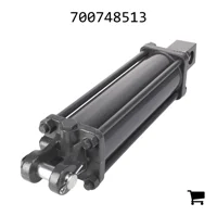 AGCO 700748513 Гидроцилиндр