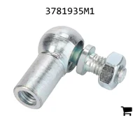 AGCO 3781935M1 Ось