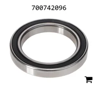 AGCO 700742096 Цилиндрический подшипник