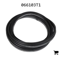 AGCO 066103T1 Уплотнение