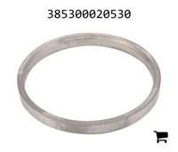 AGCO 385300020530 Стальное кольцо