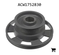 AGCO ACW1752830 Шкив аспиратора
