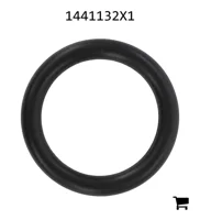 AGCO 1441132X1 Уплотнительное кольцо