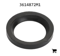 AGCO 3614872M1 Шайба