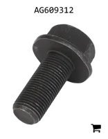 AGCO AG609312 Болт с шестигранной головкой и фланцем