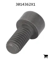 AGCO 3014362X1 Винт с цилиндрической головкой и шестигранным углублением