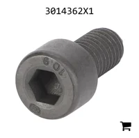 AGCO 3014362X1 Винт с цилиндрической головкой и шестигранным углублением