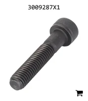 AGCO 3009287X1 Винт с внутренним шестигранником