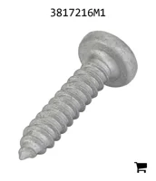 AGCO 3817216M1 Винт