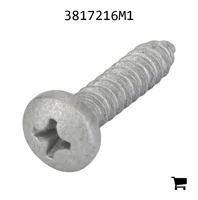 AGCO 3817216M1 Винт