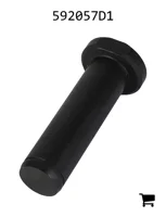 AGCO 592057D1 Палец