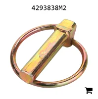 AGCO 4293838M2 Палец